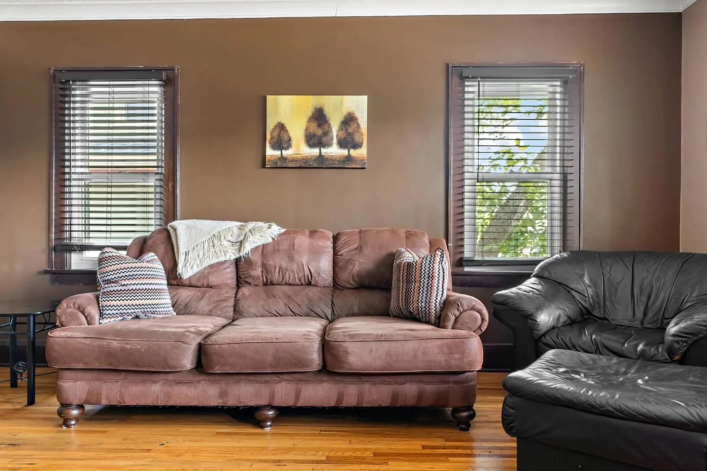 Two sofas under a pair of bright windows